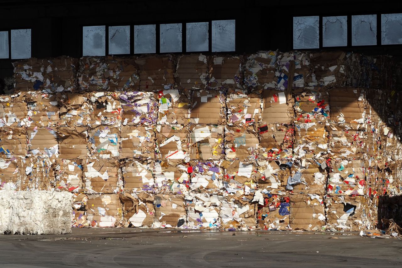 A Contribuicao De Bottaro Na Cadeia Produtiva De Reciclagem De Papel E Papelao
