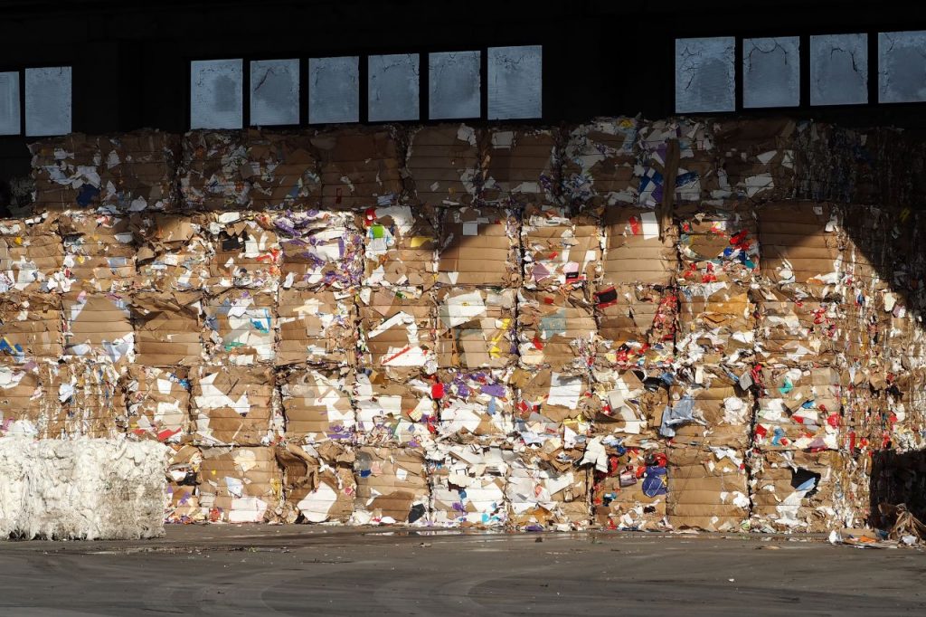 La Contribucion De Bottaro A La Cadena Productiva De Reciclaje De Papel Y Carton