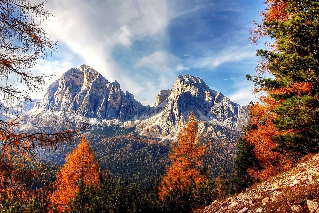 Chiusura di Ognissanti Bottaro Filo di ferro per presse, per